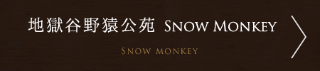 地獄谷野猿公苑　Snow Monkey