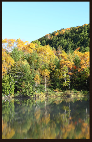 和の伝統と機能美が調和した空間。