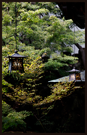 和の伝統と機能美が調和した空間。