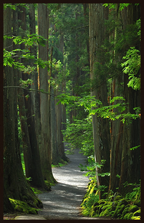 信州観光地 戸隠